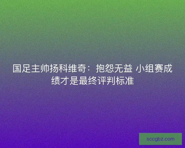 国足主帅扬科维奇：抱怨无益 小组赛成绩才是最终评判标准